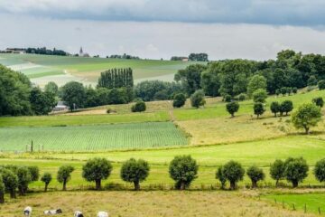 Vlaanderen springt al eeuwen soepel om met zijn land